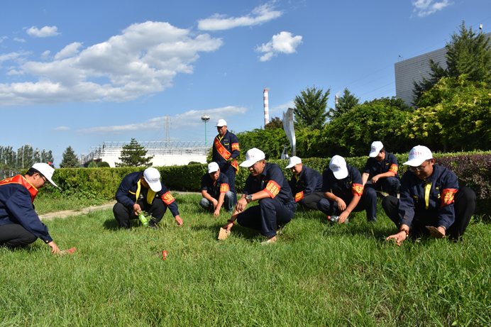 692污水處理廠綠化新聞圖1.jpg